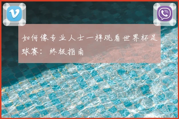 如何像专业人士一样观看世界杯足球赛：终极指南