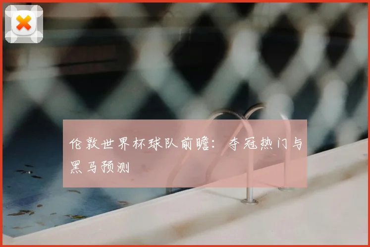 伦敦世界杯球队前瞻：夺冠热门与黑马预测